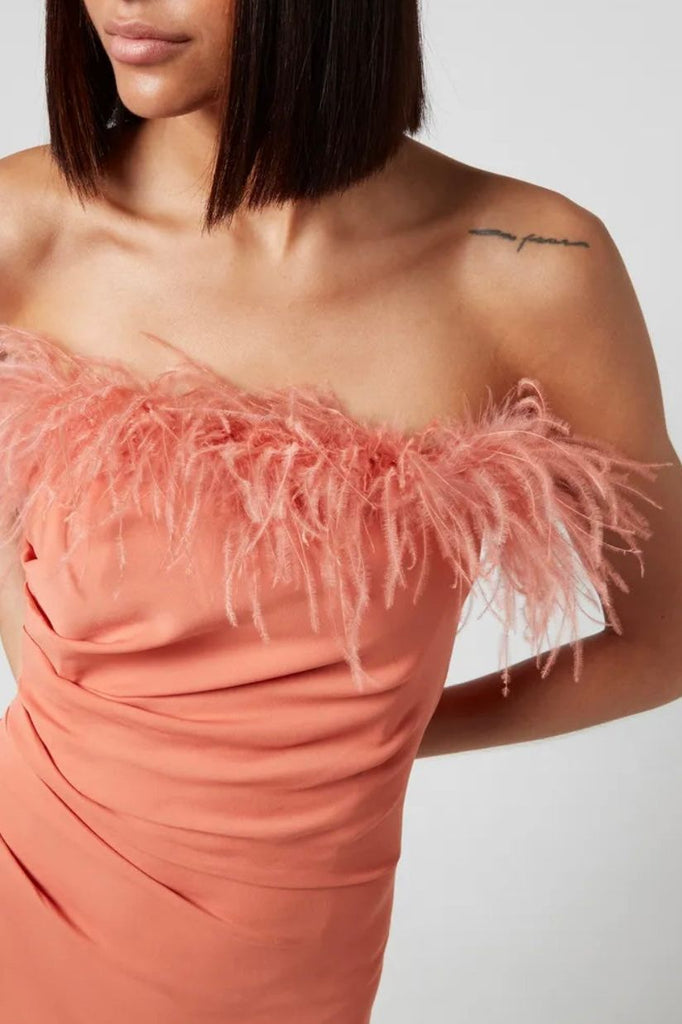 RENT De La Vali Spicy Feather Mini Dress (RRP £395) - Rent Now from One Hit Wonders
