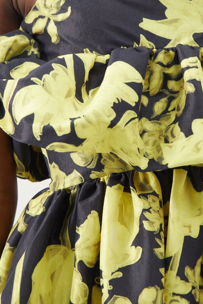 RENT Kika Vargas Lynn strapless printed taffeta midi dress (RRP £725) - Rent Now from One Hit Wonders